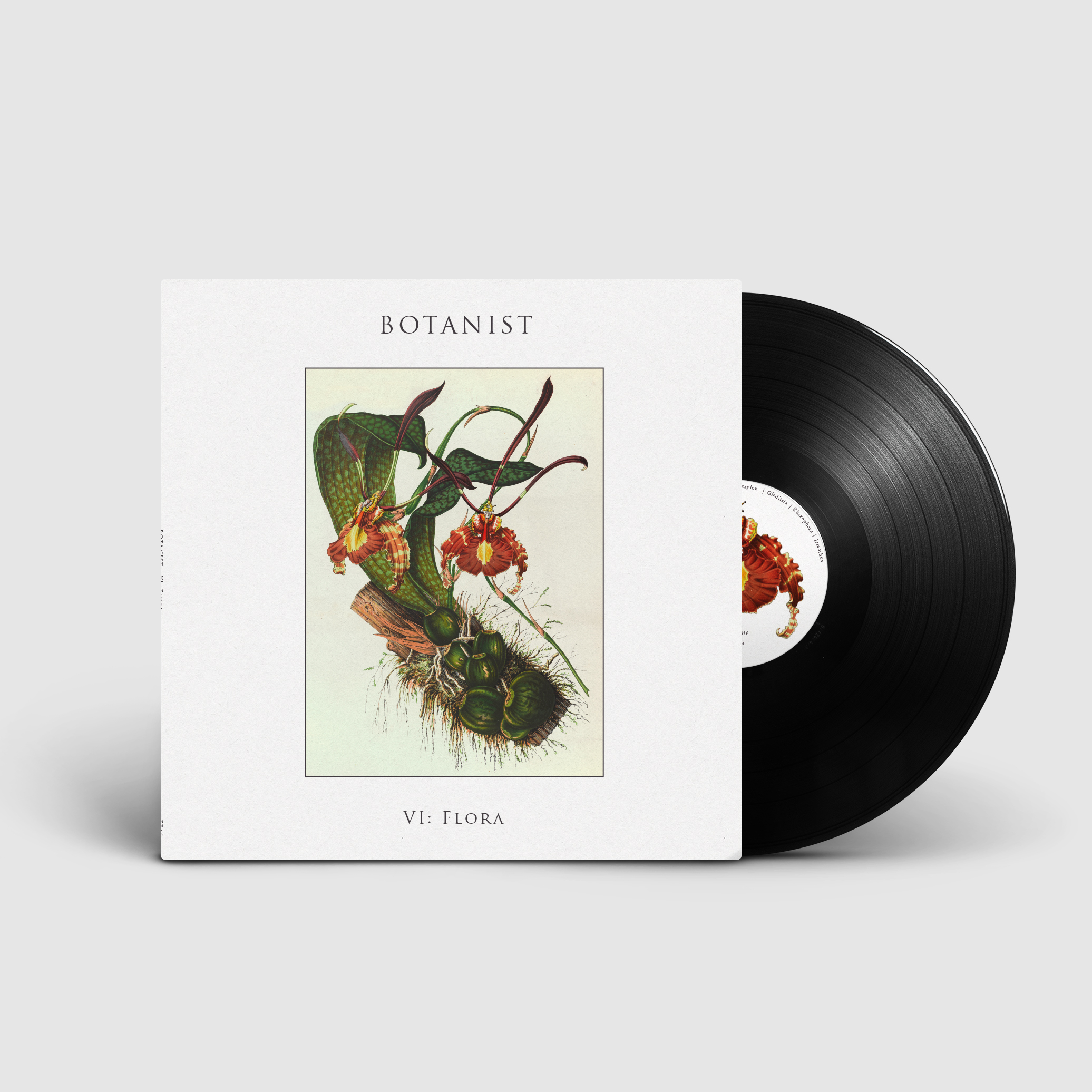 Botanist Flora 1